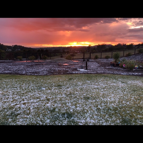 Meet your Posher, Katie - Picture 1 of 1